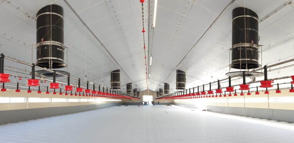 TPI – Ventilation Concepts for Large Poultry Houses: Challenges & Solutions